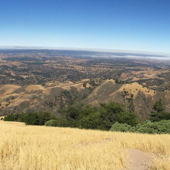 Near Grass Mountain Trail