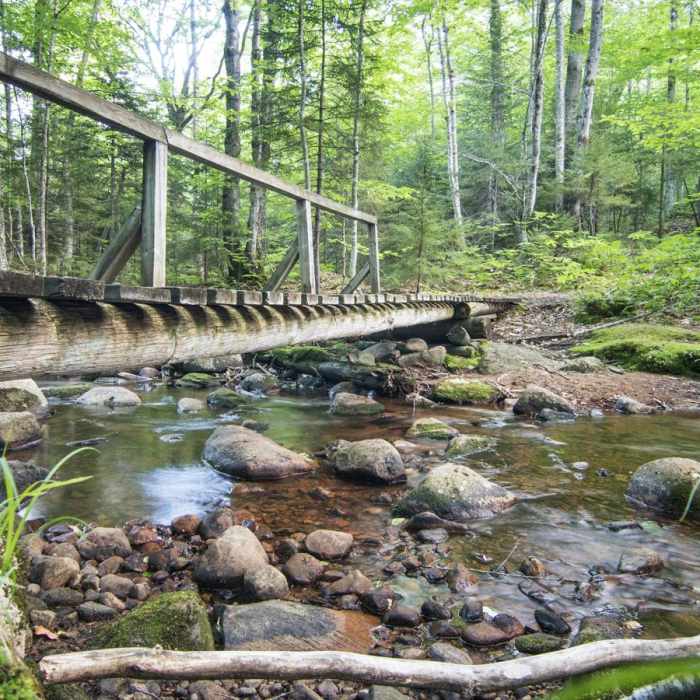 Near Pillsbury Mountain Fire Tower Near Pillsbury Mountain Fire Tower