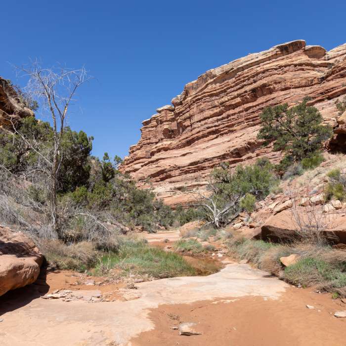 Near Trail Canyon