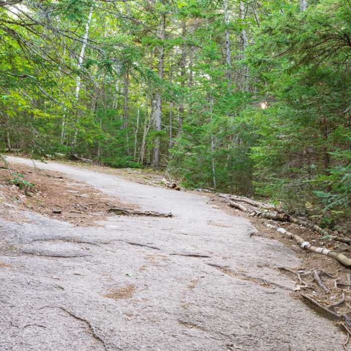 Near Welch-Dickey Mountain Loop Near Welch-Dickey Mountain Loop
