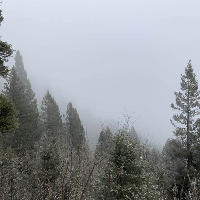 Near Kirkpatrick Trail