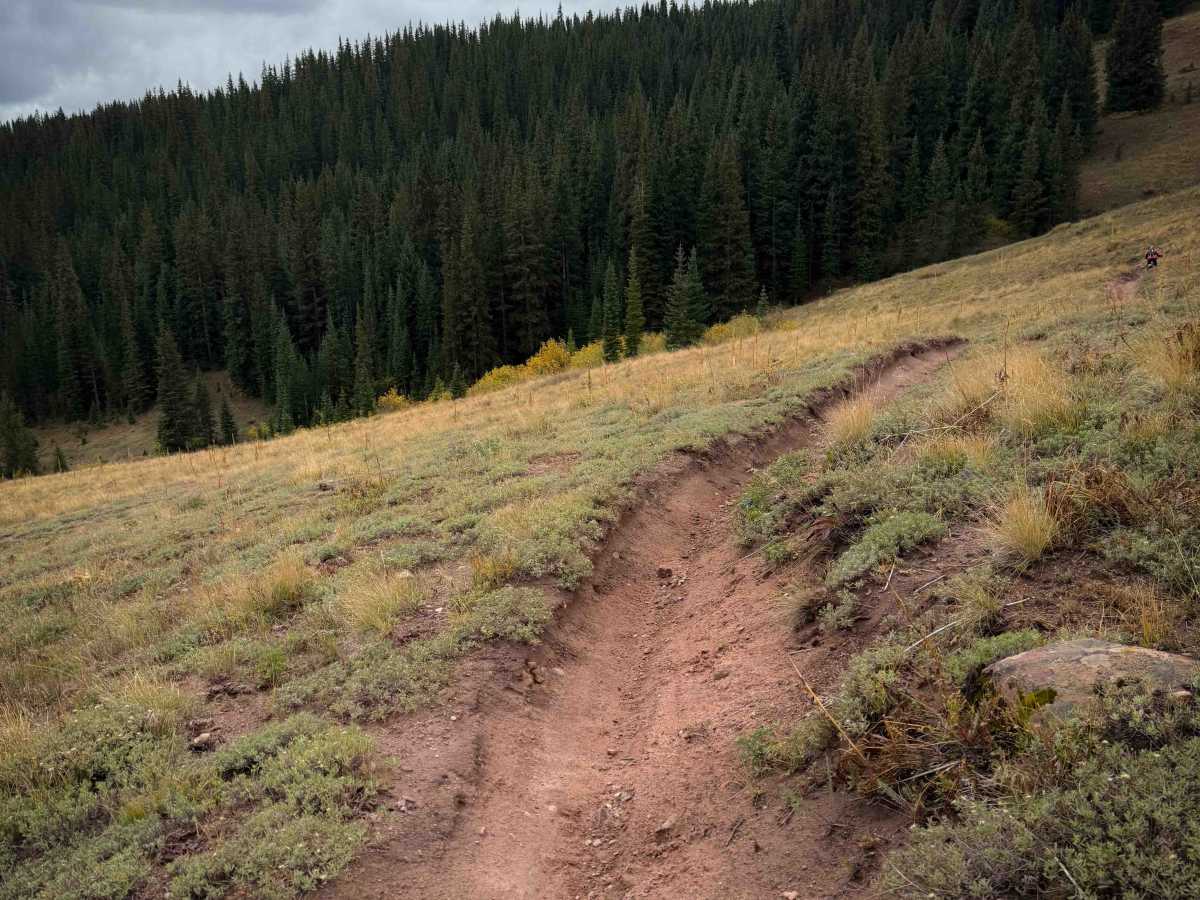 Flag Creek Trail - FS 422 photo 6