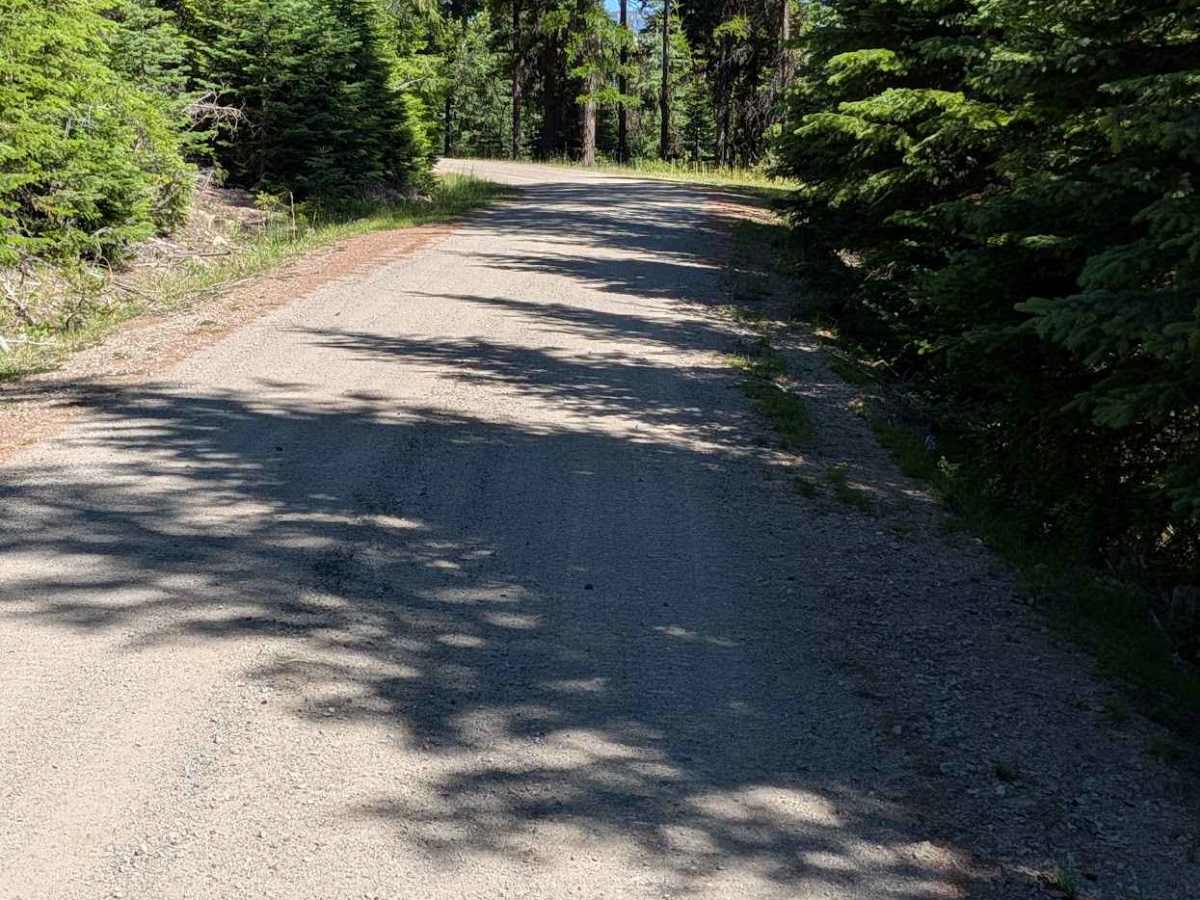 Bald Butte Rd photo 3