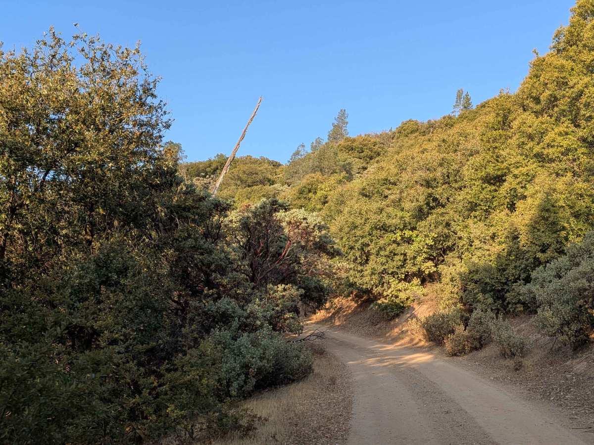Feliciana Mountain Road - FS 4S012 photo 5