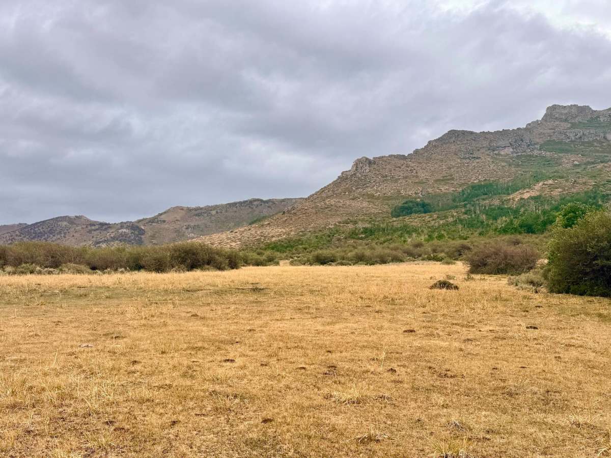 Agee Spring - FS 17889 trail photo