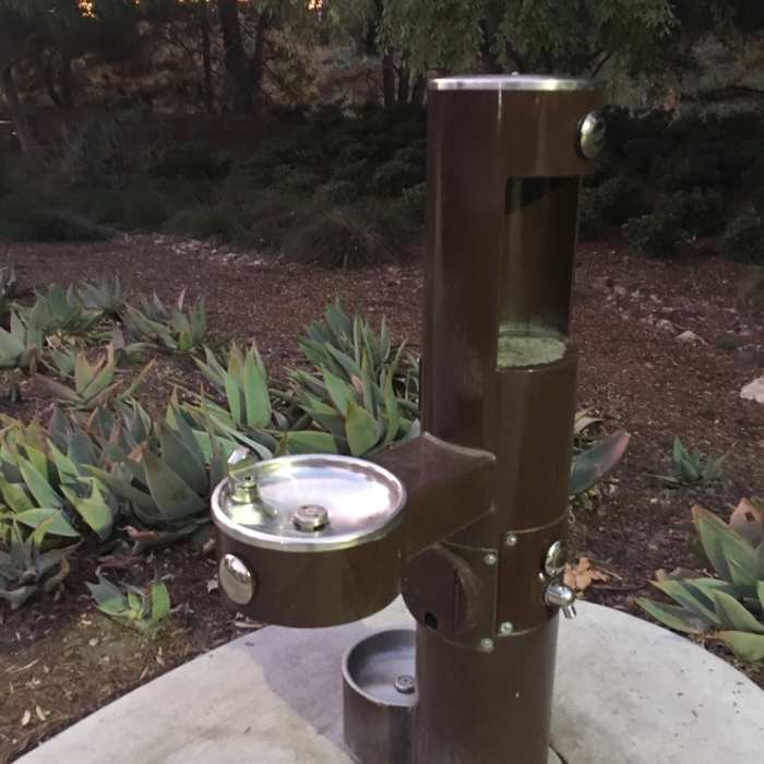 Near Oso Creek Trail