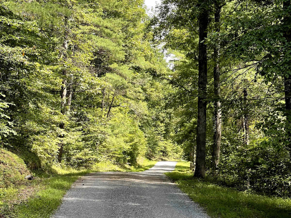 Draft Road photo 3