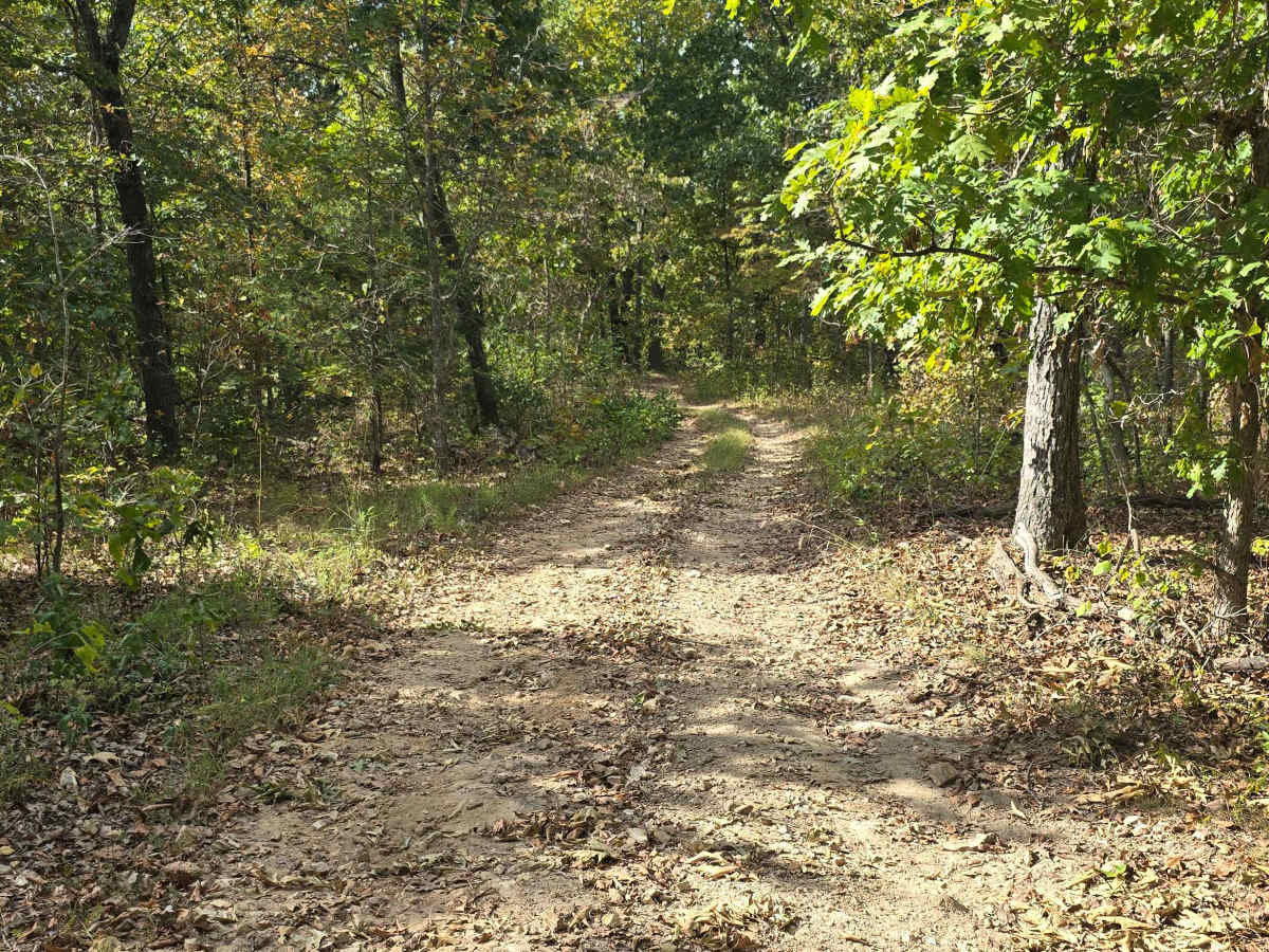 The Saddle trail photo