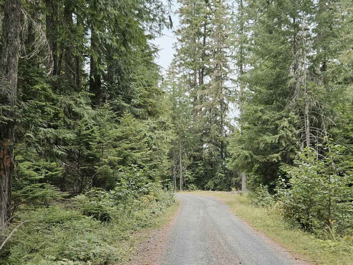FS 2639480 trail photo