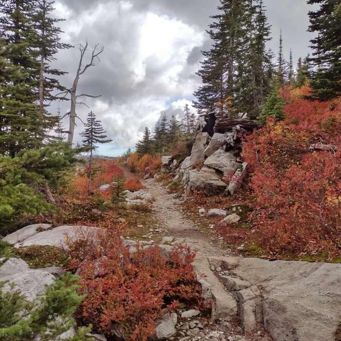Near Roman Nose Lakes Hike