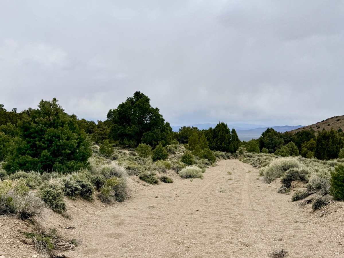 Cedar Corral - FS 44491 photo 6