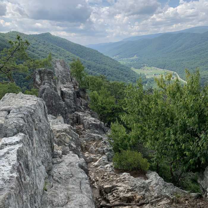 Near Seneca Rocks Trail #563