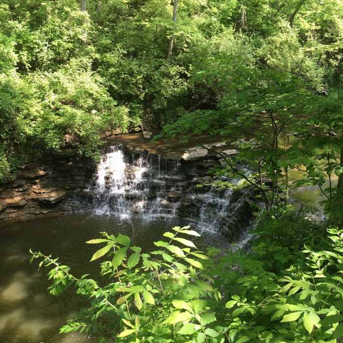 Near Sharon Woods Super Sampler