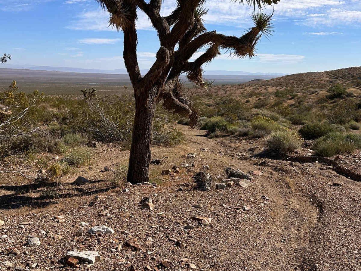 Whiskey Wash trail photo