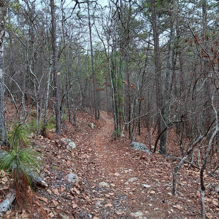 Coldwater in winter Near Coldwater Trails - Inner Loop