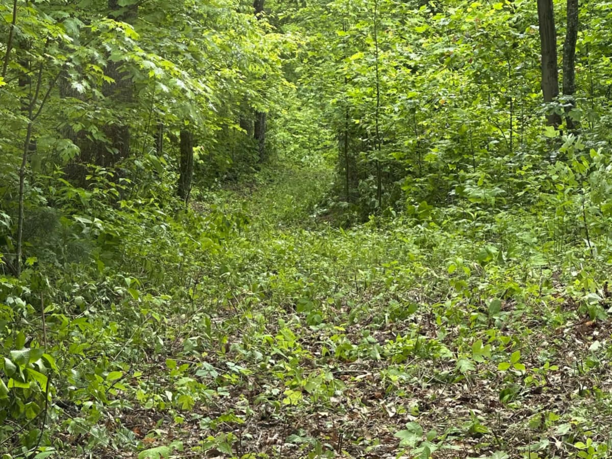 101b photo 3