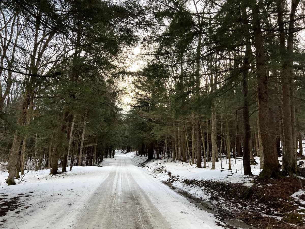 Meade Run photo 2