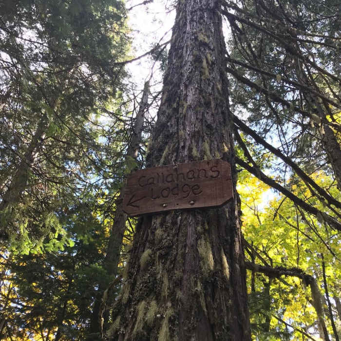 Near Mount Ashland Meadows