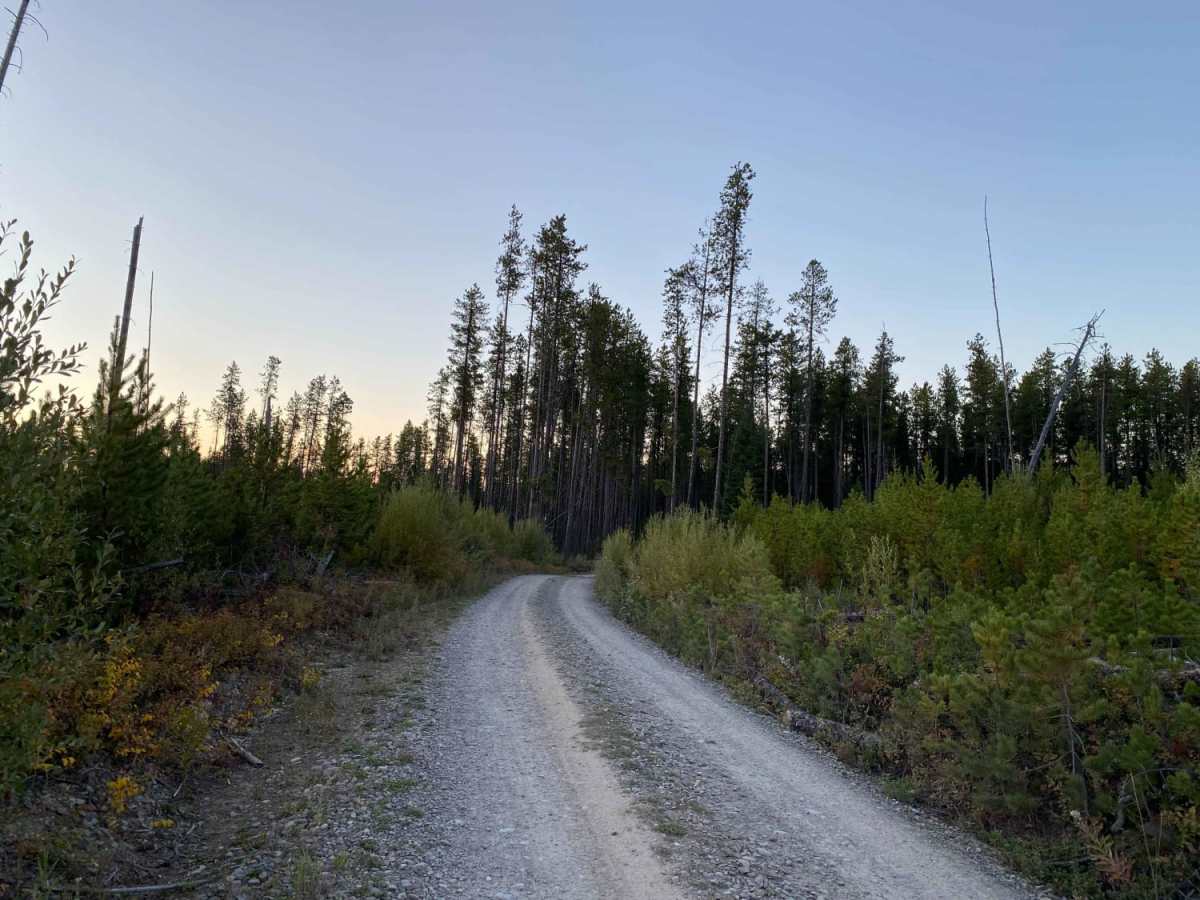 Inside North Fork Rd trail photo