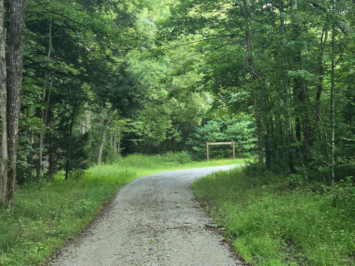 Joe Branch Road trail photo