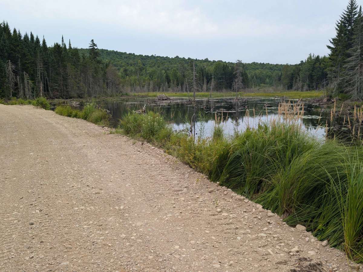 Goldmine Road photo 6