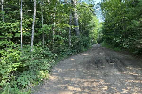Carney Lake Road