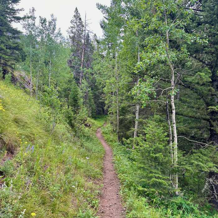 Near Continental Divide Trail: Straight Creek Alternate