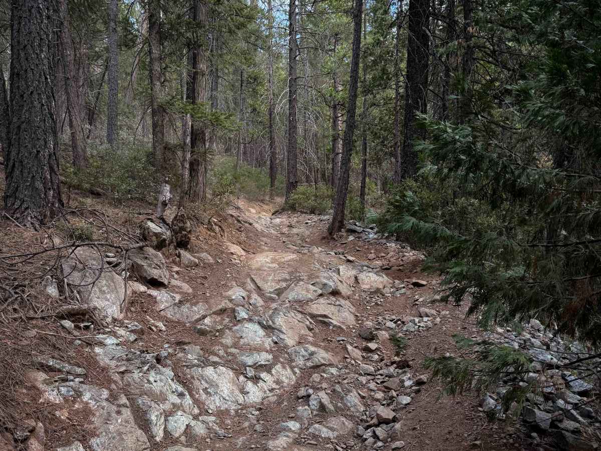 Loop 4 trail photo