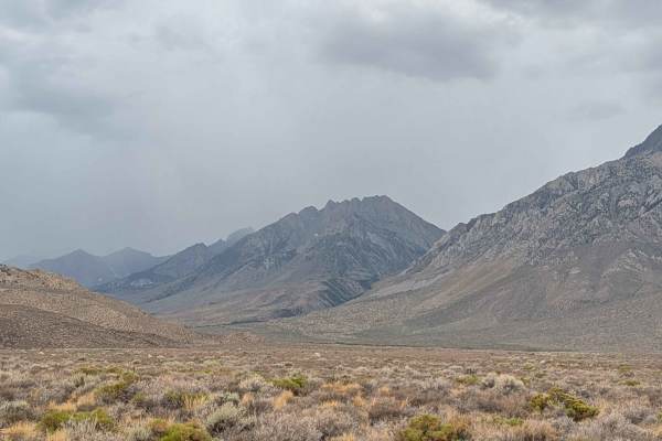 Tungsten Hills North