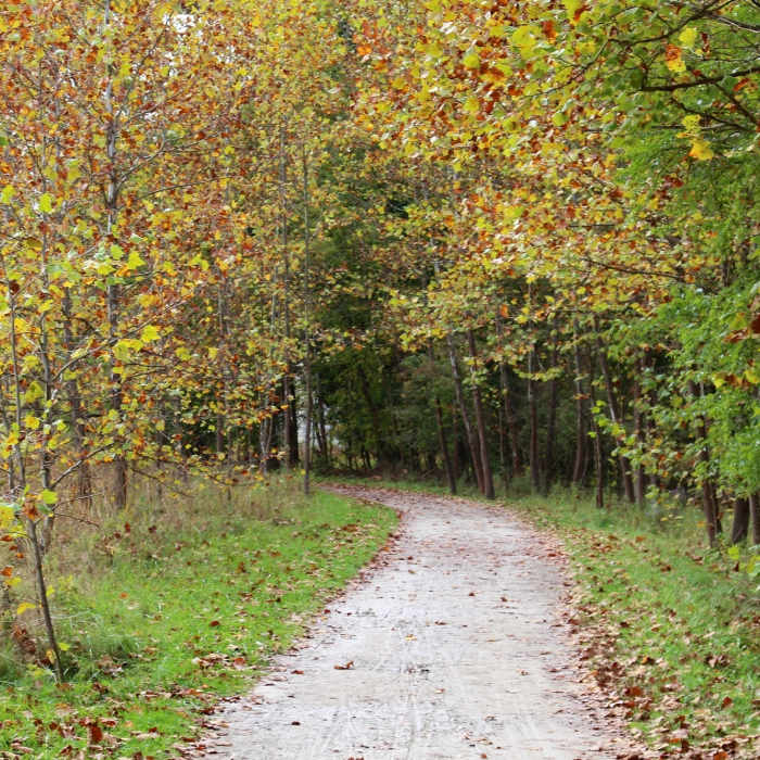 Near Ohio & Erie Canal Towpath Trail