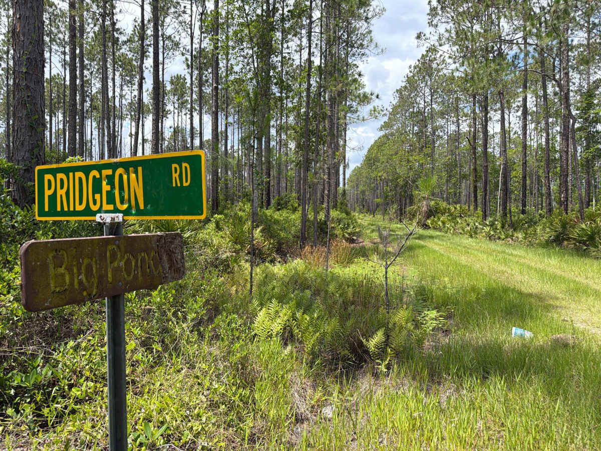 Big Pond Road photo 4