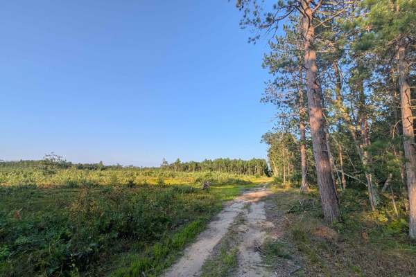 Merton Trail