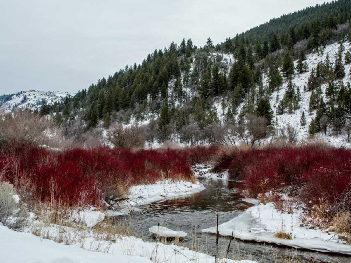 Blacksmith Fork Scenic Drive photo 2