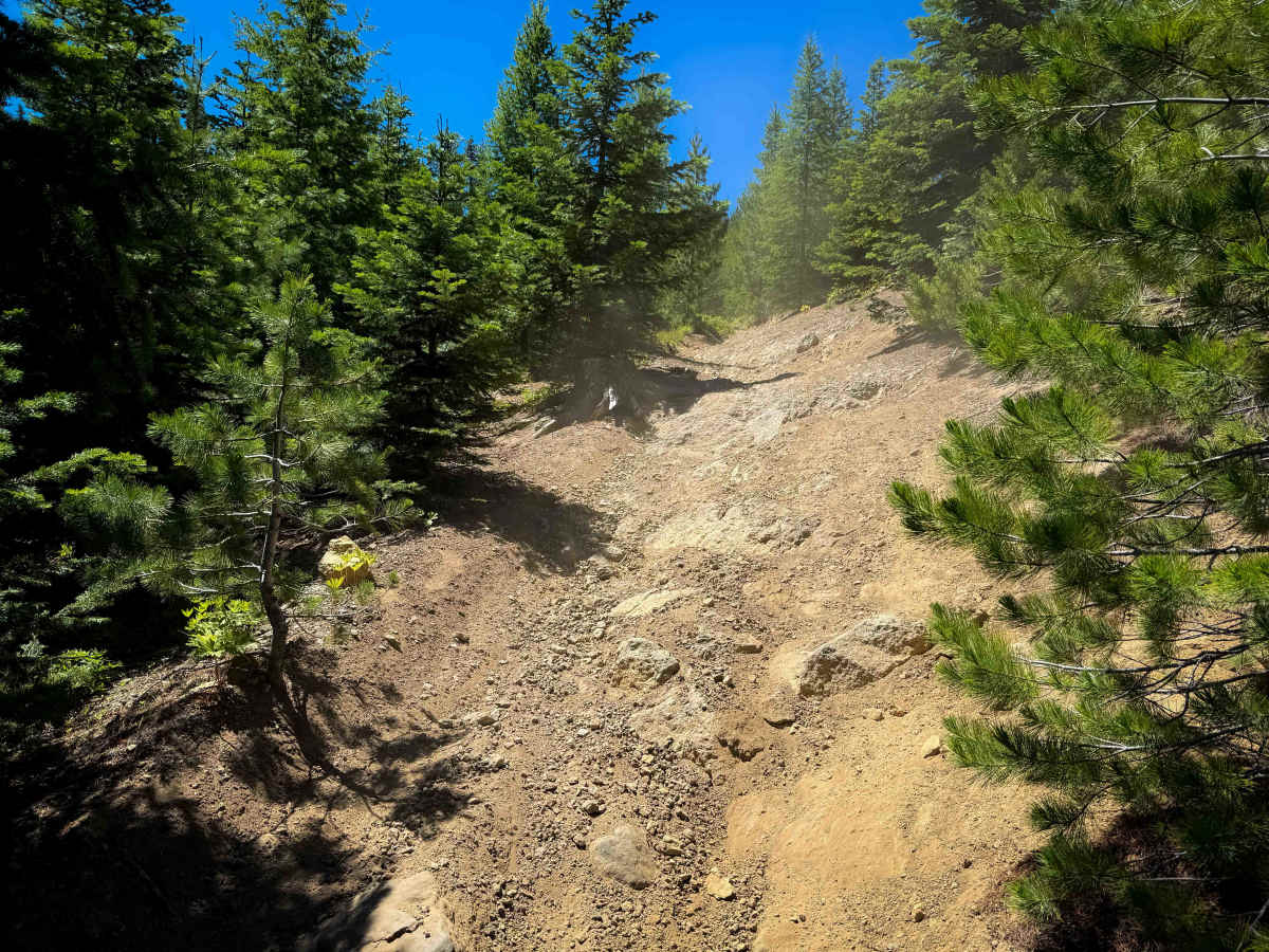Shoestring Lake - FS 1385 photo 2