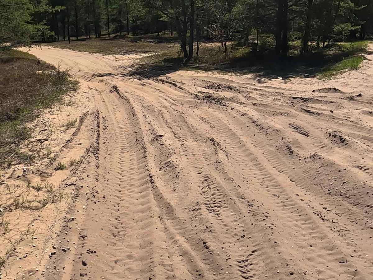 North Andrus Lake Road photo 3