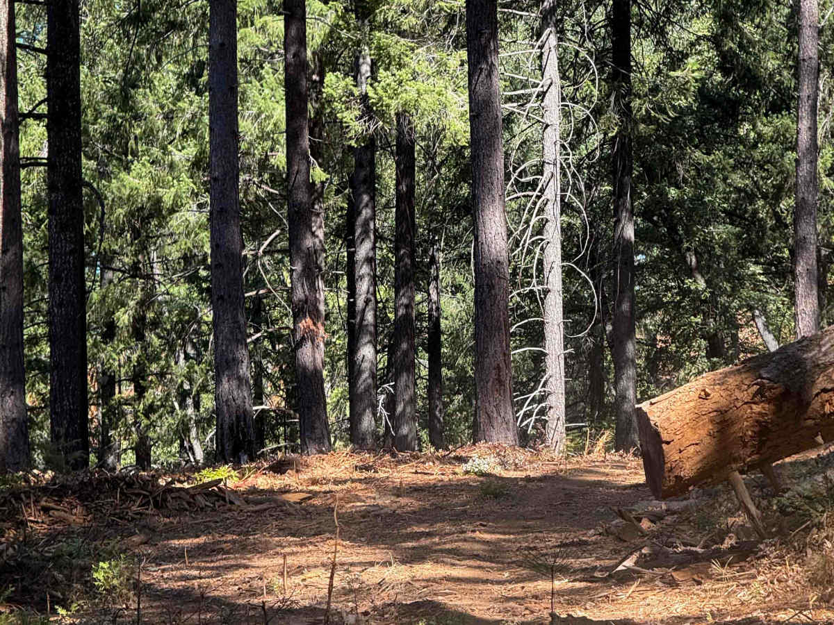 Trail 1-3 (11E30) photo 6