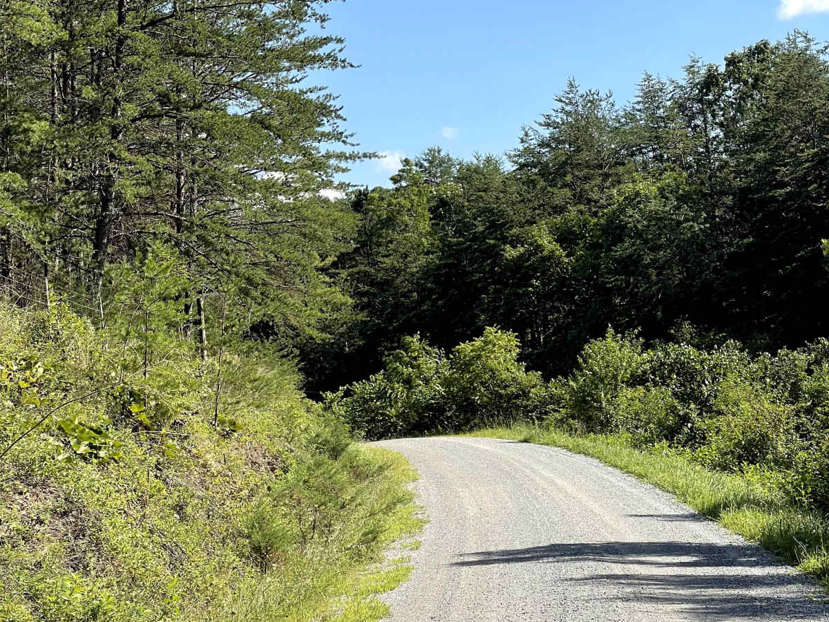 Route 612 photo 3