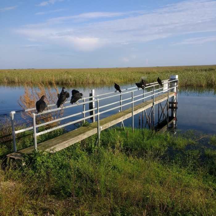 Near Everglades Conservation Levee Greenway