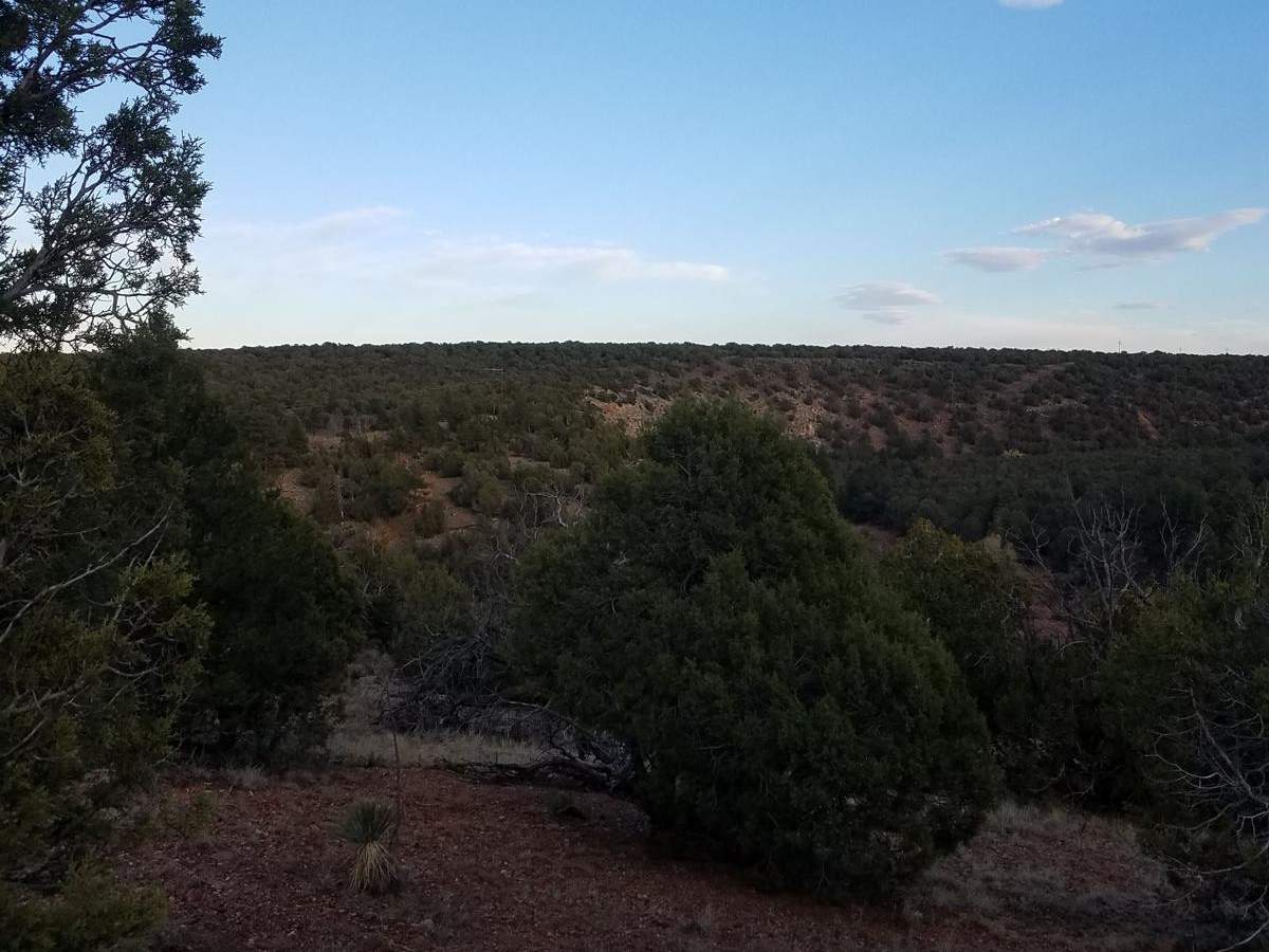 Cactus Flats photo 6