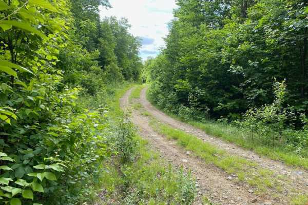 Edes Brook Trail