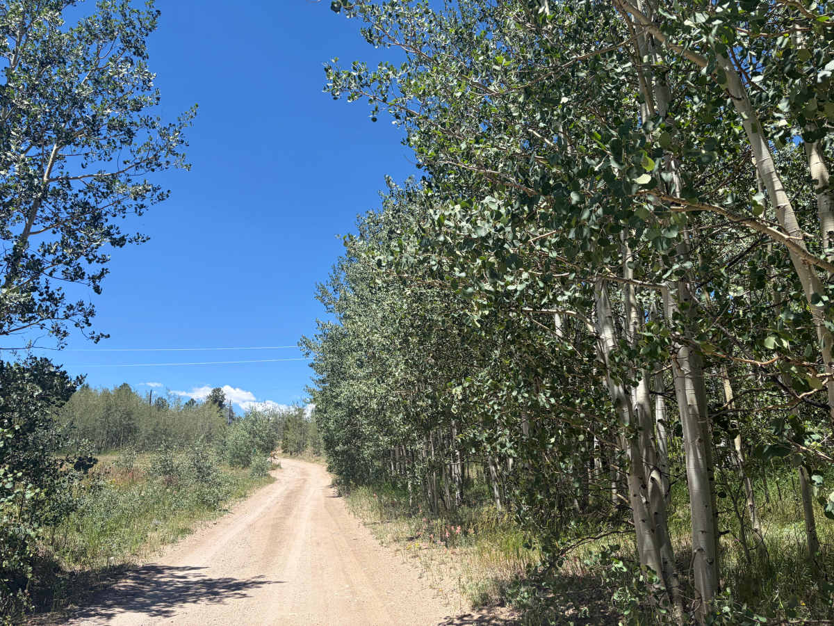 Alps Hill Road photo 2