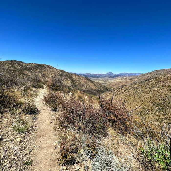 Near Bull Basin Loop