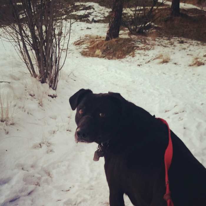 Near Best of the Dishman Hills Natural Area