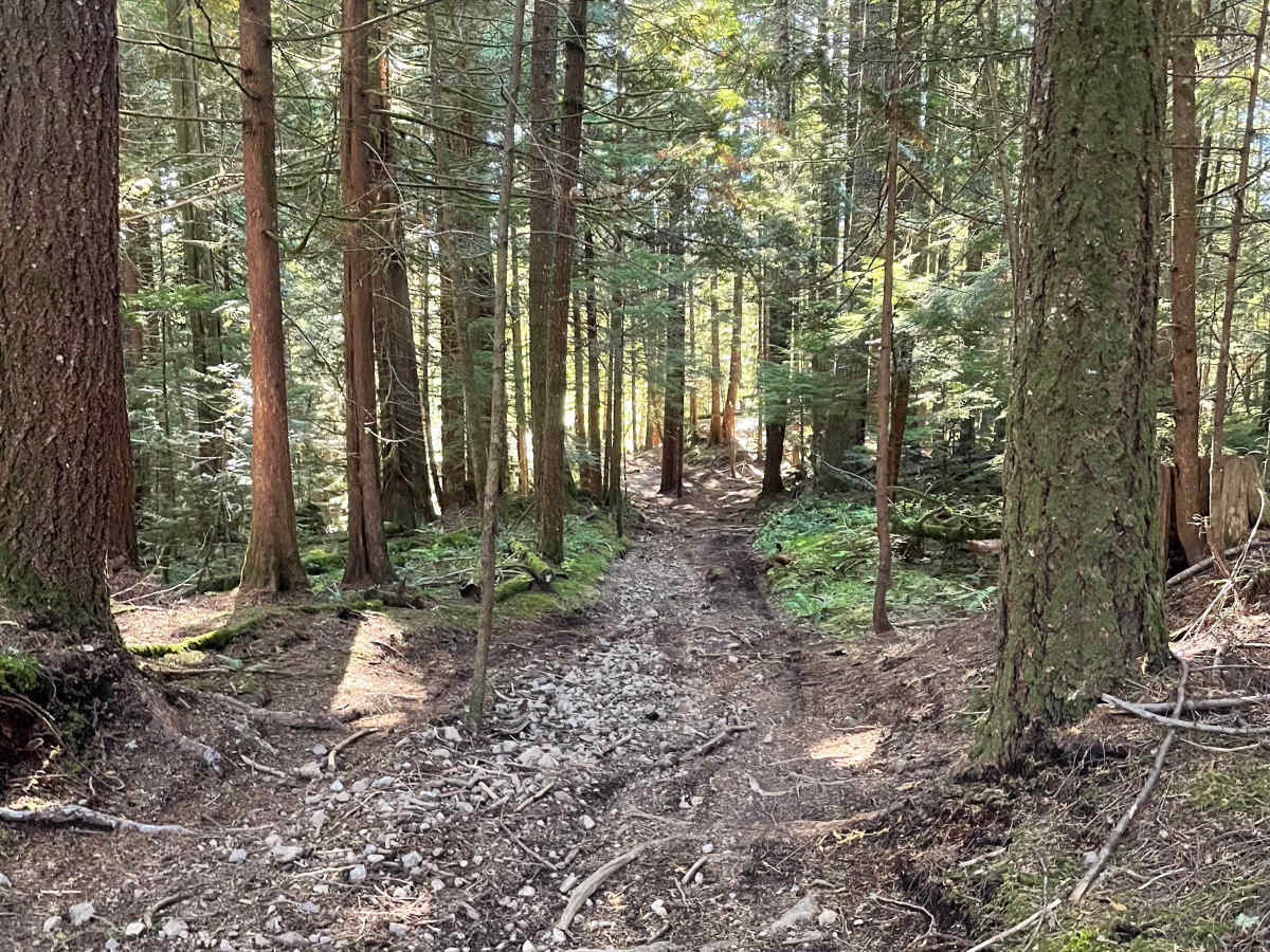 20 Year Trail photo 2