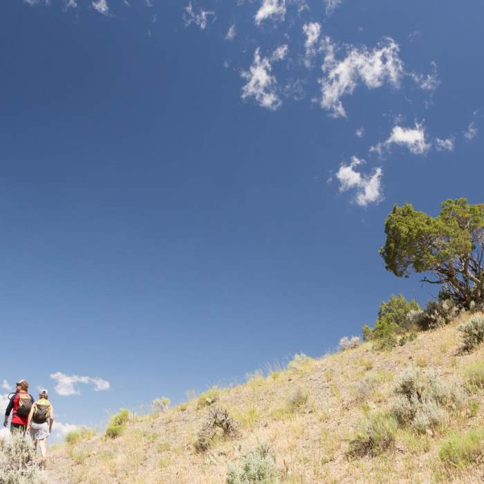 Near Lava Creek Trail
