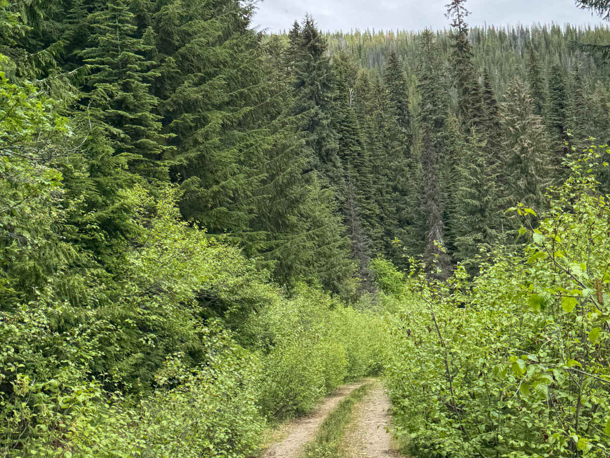Bear Pasture - FS 2212-200 photo 3