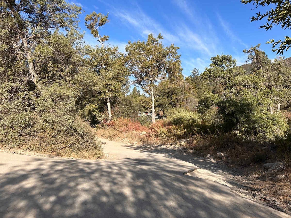 Pilot Rock Connector trail photo