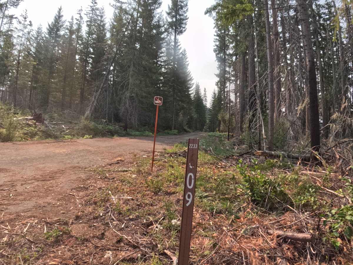 FS 2233609 trail photo