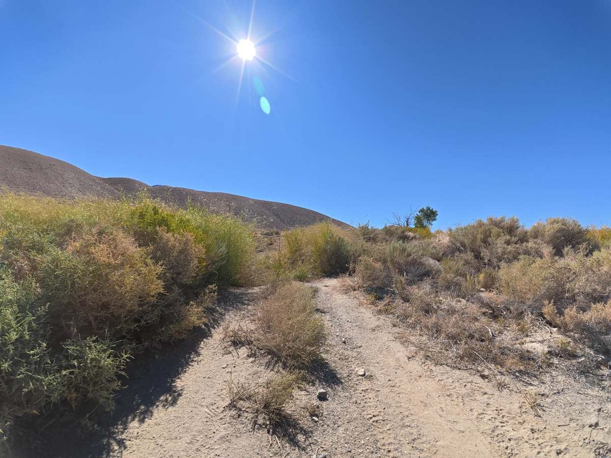 Silver Canyon Road photo 4