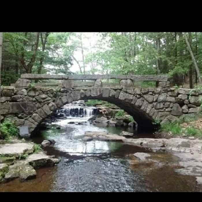 Bridge over creek in the Vaughan Woods. Near Homestead Trail